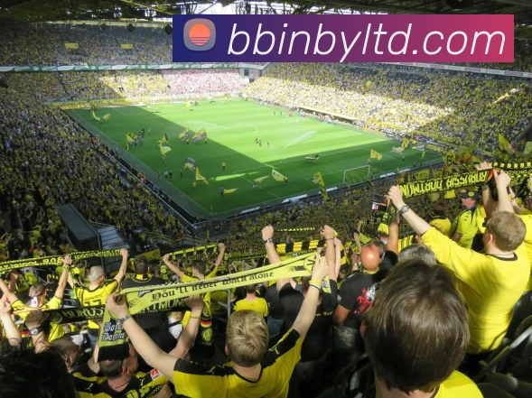 BBIN宝盈平台生态图