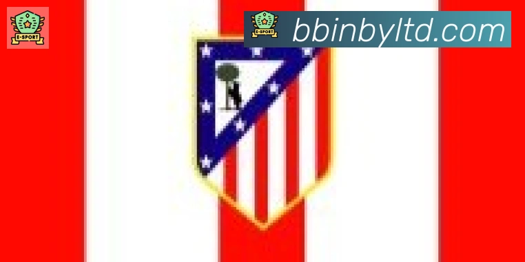 BBIN宝盈合作伙伴