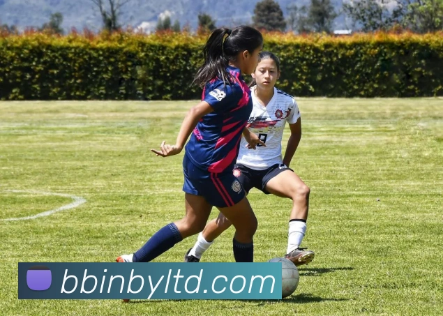 BBIN宝盈全站App BBIN宝盈全站App